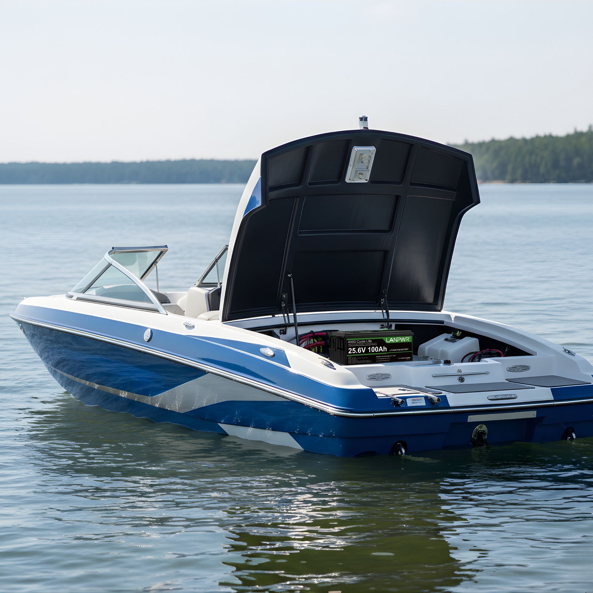 25.6V 100Ah 2560Wh LiFePO4